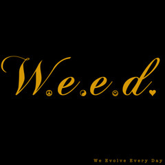 W.E.E.D. - We Evolve Every Day EP
