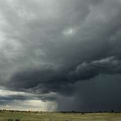 The Rains Return to the Serengeti (Full Concept)