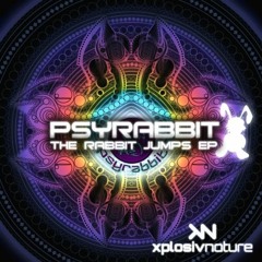 PsyRabbit -A Better Future