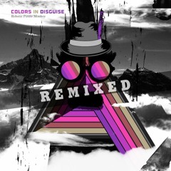 More Noize (Anvil Smith Remix) - Robotic Pirate Monkey