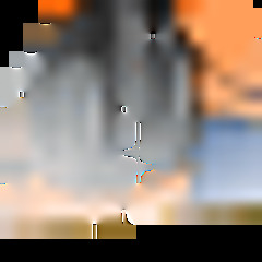 Shadow the great work