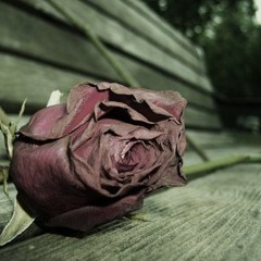 Mi Corazon Se Fue Junto A Ti <|3 -DJ Nene-