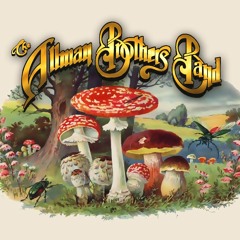 Allman Brothers Band ~ Good Lovin'