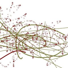 One pound of spaghetti