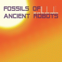 We Are The Solar Captains