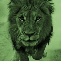 Oxypäng - Without You