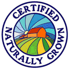 Im Grown by Lady Ghost ft Miss 214