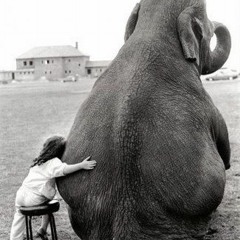 Promises (Instrumental)