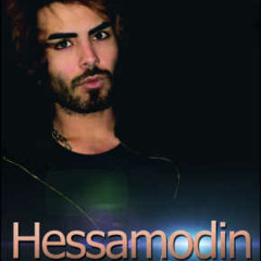 Hessamodin - Deltang