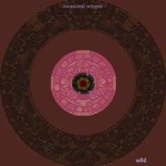 Beirut - My Wife, Lost in the Wild (remix)