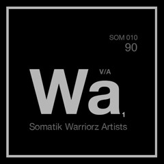 Vladislav Nogin - untitled 88 - Somatik Sounds [SOM 010, SOM 011, SOM 056]