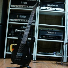 Vp guitars 8 string custom test m8 copy