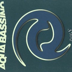 Aqua Bassino Pools EP 01 Time to go.mp3