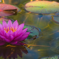 Introduction to Healing Meditation