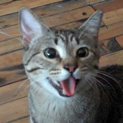 Brightest Moments - Tourists (shuttle Remix)