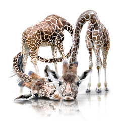 -spaeEtschicht-guDDe_laune.mix-