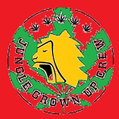 Enter the kingdom of zion (remixth)3