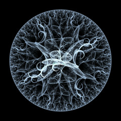 DOSEZERO-ESONOLOGY 1