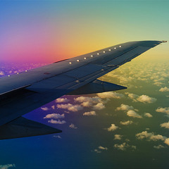 Leo Outcast - In Flight Acid