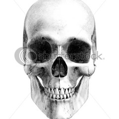 Fate Demo 1-4 audio test