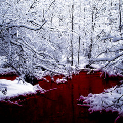 Snow/Blood