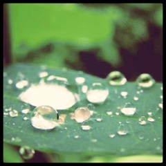 Higgs Boson's Birthday