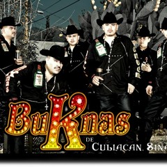 Buknas de Culiacan - El Cotorreo