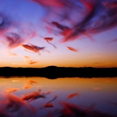 New single (don't stop now)