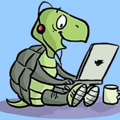 come out of your shell