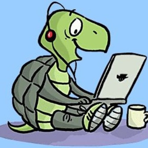 come out of your shell