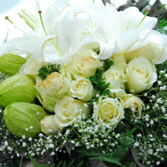 (Nu A Shingma Ntsa Simsa na) hkawn/ka ( kutkai byin pu) ah put