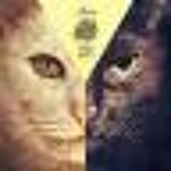 Hermanez Chicago In Mind Mr. Bizz Remix