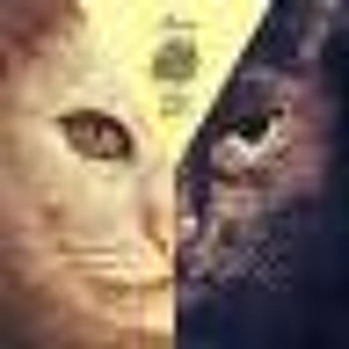 Hermanez Chicago In Mind Mr. Bizz Remix