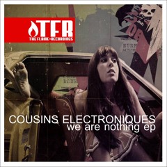 Cousins Electroniques - The Flame Still Burns (Original Mix) cut