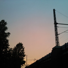 Loco Barbosa - Grasgeflüster