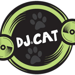 Mashup by dj CaT -Pitbull - Back in Time vs to party den stamata