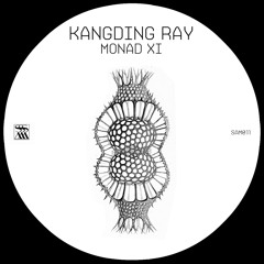 Kangding Ray 'Monad XI' [SAM011]