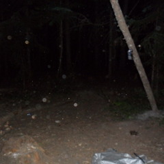 3. Dildoy Infomercial