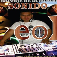 Mix de oaxaca bailale SONIDO LEON JULIO 4-2012 ;)