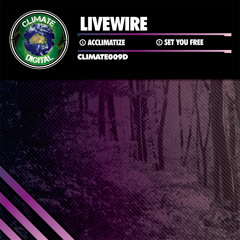 Livewire - Acclimatize