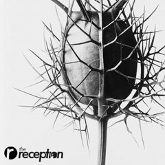 The Reception, Kyle Parry // New Studio Recording