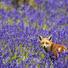 MedTech _ LIVE mixing_04.07.2012   Praise My DJ's - Run From RUN DMC     (MedTech ~ MashUp )