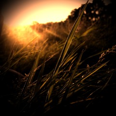 Todschick LIVE @ Fusion Festival 2012 (Platz der Kosmonauten, 30.06.2012)