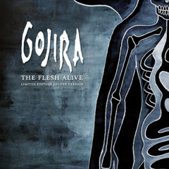 Gojira - The Heaviest Matter Of The Universe [Live]