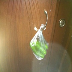 Radiohead - Idioteque