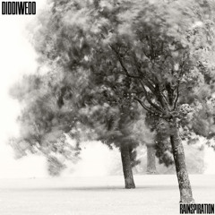 Diddiwedd - Rainspiration