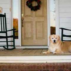Porch Rocker