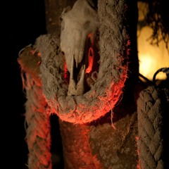 The Bushman