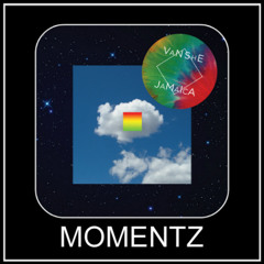 Van She - Jamaica (MOMENTZ unofficial remix)