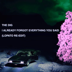 The Dig - I Already Forgot Everything You Said (Lopato Re-edit)